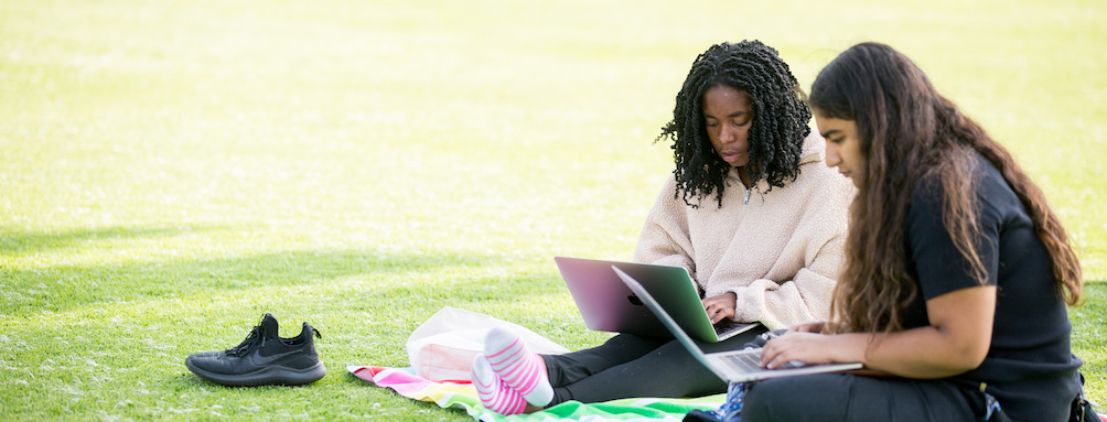 Students sitting on grass studying.